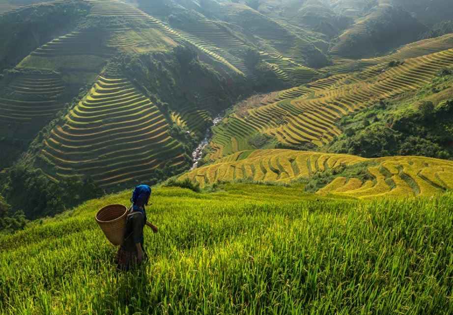 6 Days Majestic Nagaland Private Tour