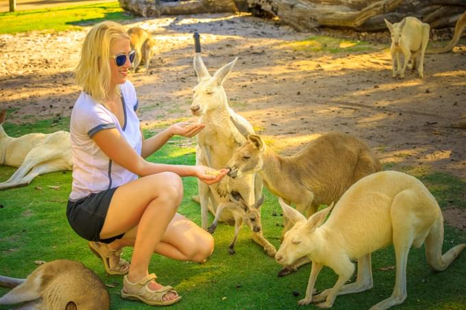 Enjoy Animal Encounters