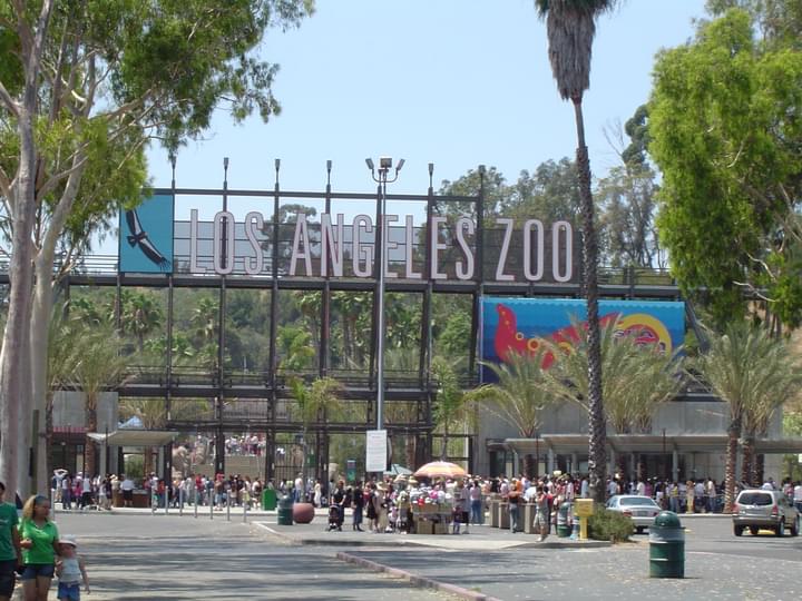 Los Angeles Zoo in North America