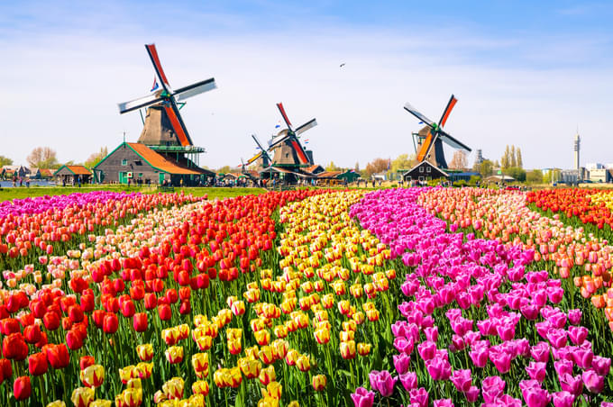 Keukenhof Gardens Opening Time