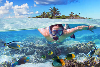 Snorkelling at Bat island