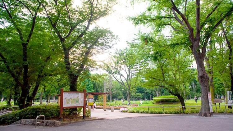 Shinjuku Chuo Park Overview