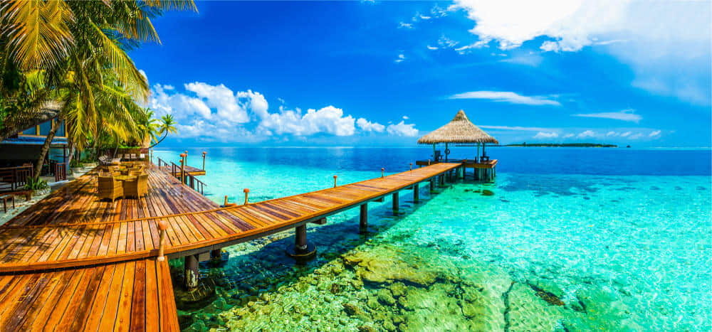 Best Of Maldives