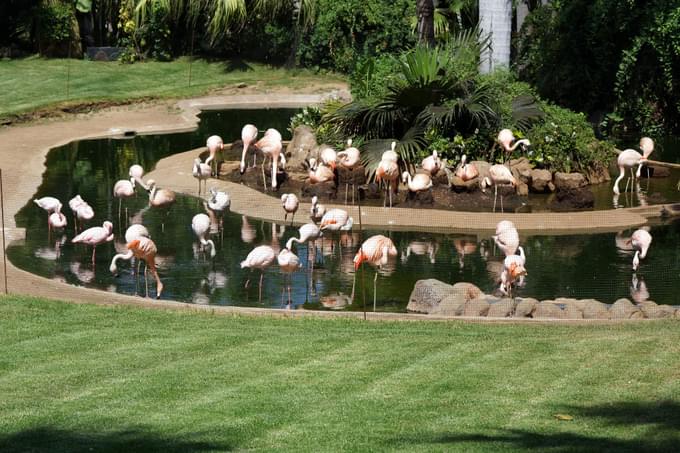 Loro Parque