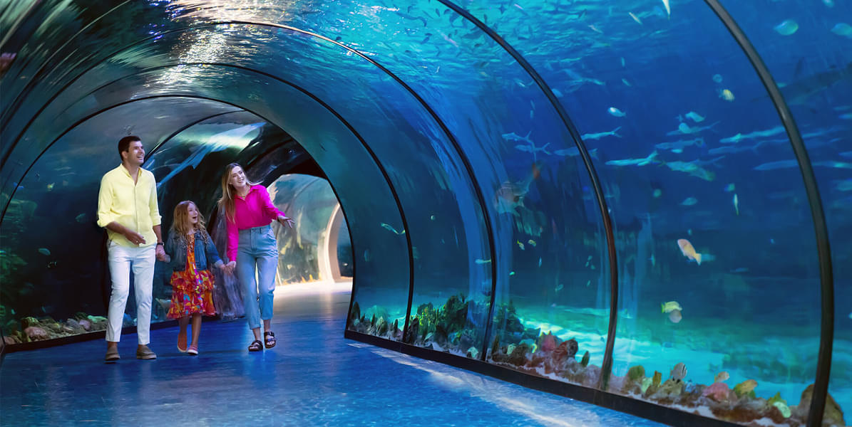 Visitors enjoying aquarium journey