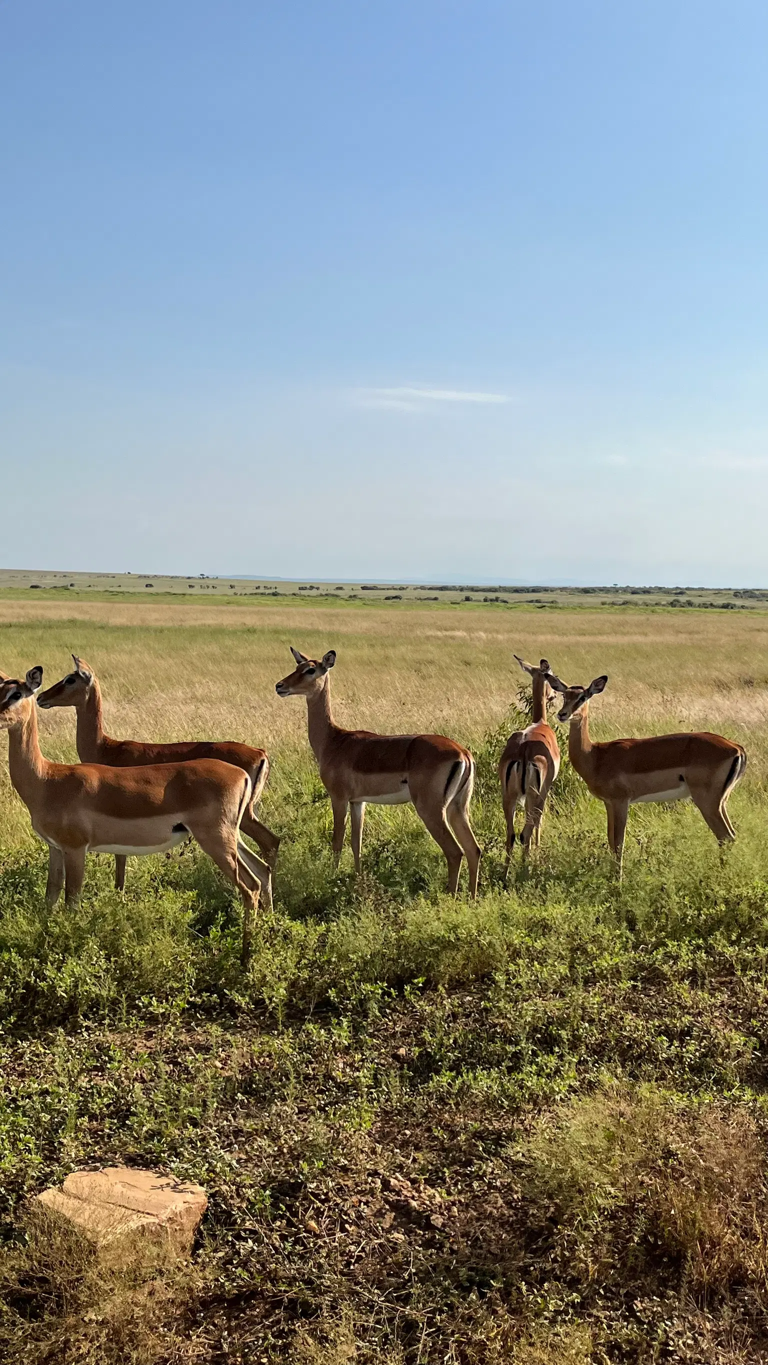 Photo from Akshaya Kamath's trip