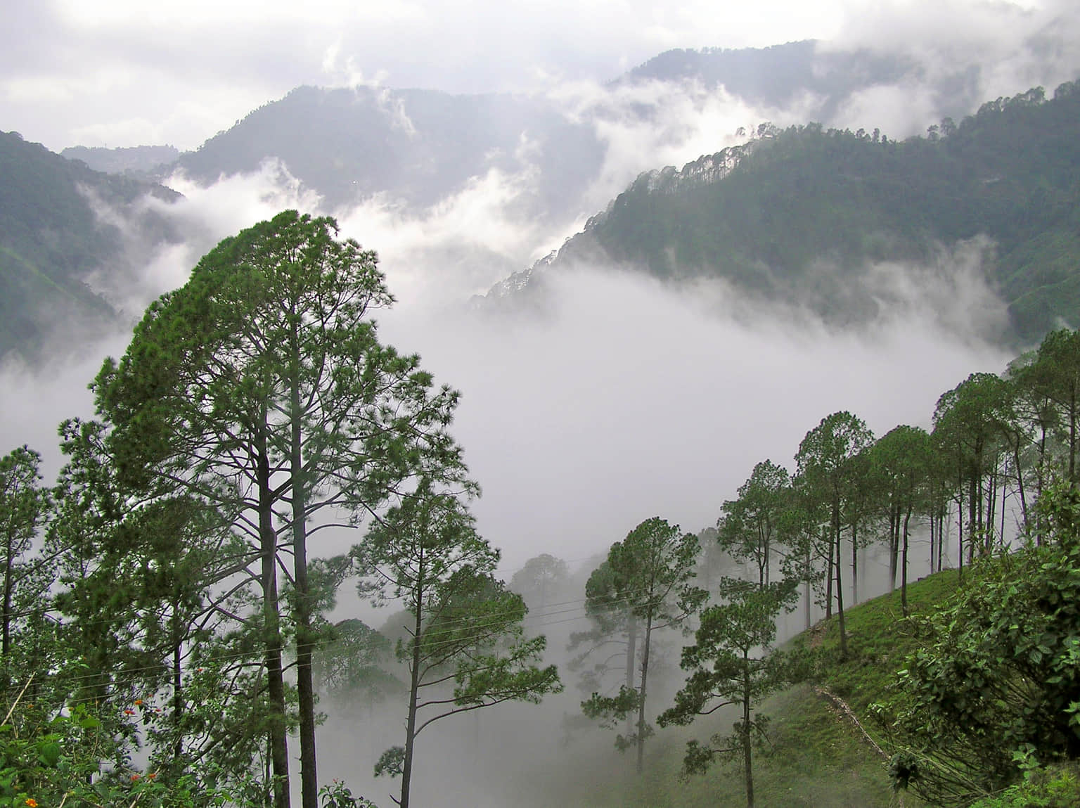 Lambasingi, <em>Andhra Pradesh</em>