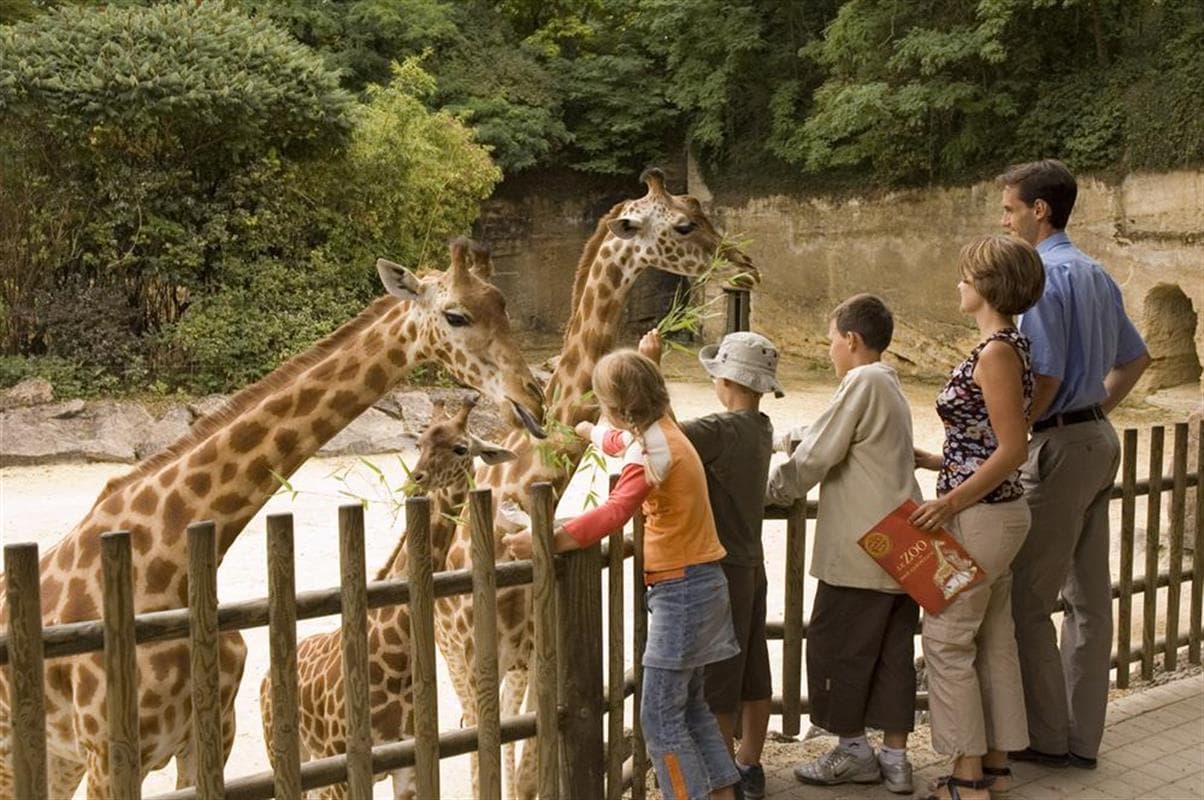 Bioparc - Zoo de Doue-la-Fontaine Entry Tickets, France