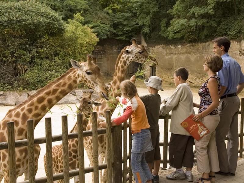 Bioparc - Zoo de Doue-la-Fontaine Entry Tickets, France
