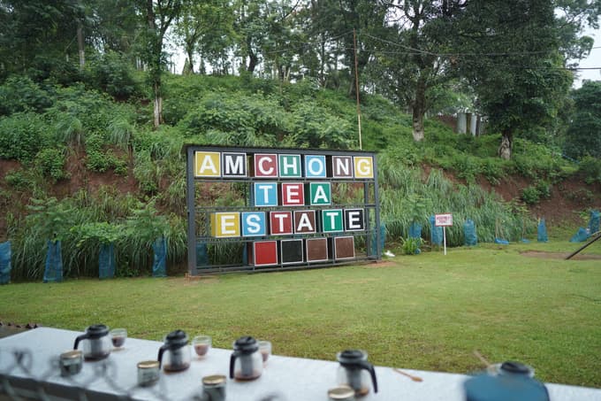 Taste Masala, Orthodox, CTC, Rose, and Green tea, all made on-site