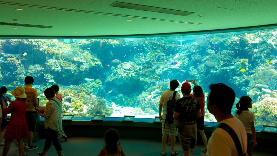 You can visit the ocean's gallery which showcases various habitats and ecosystems