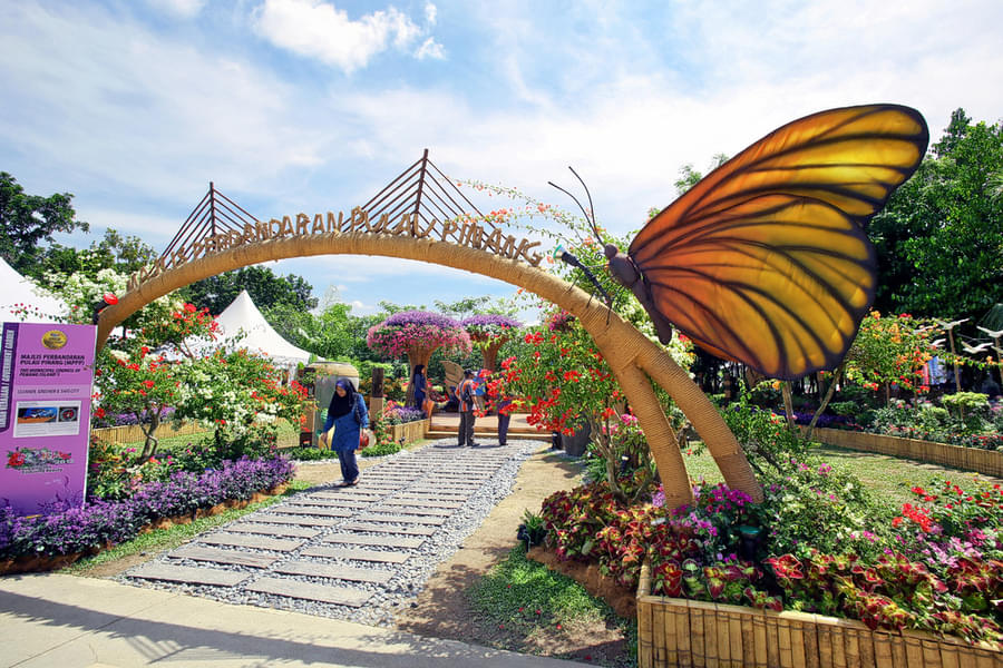 Admire the stunning orchids, exotic flora, and vibrant fauna in the park