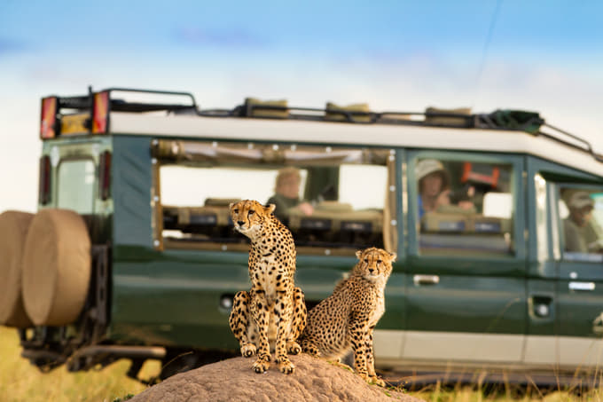 Full Day Game Drive at Masai Mara National Reserve