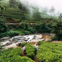 kerala-and-tamil-nadu-tour