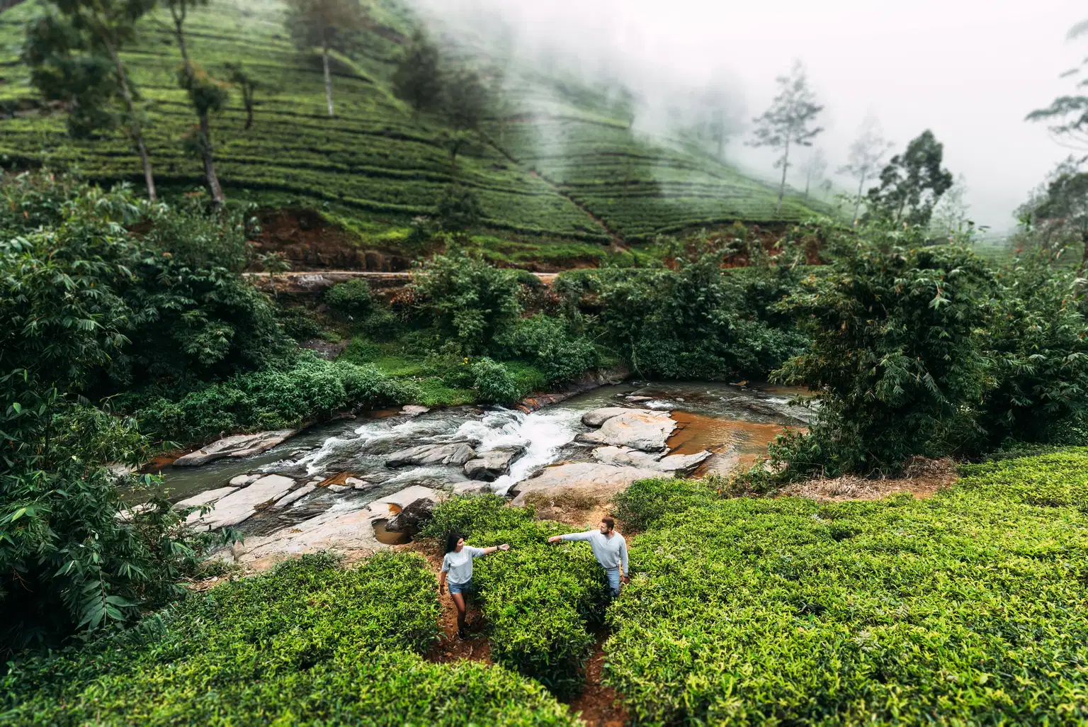 Kerala Honeymoon Package with Flight