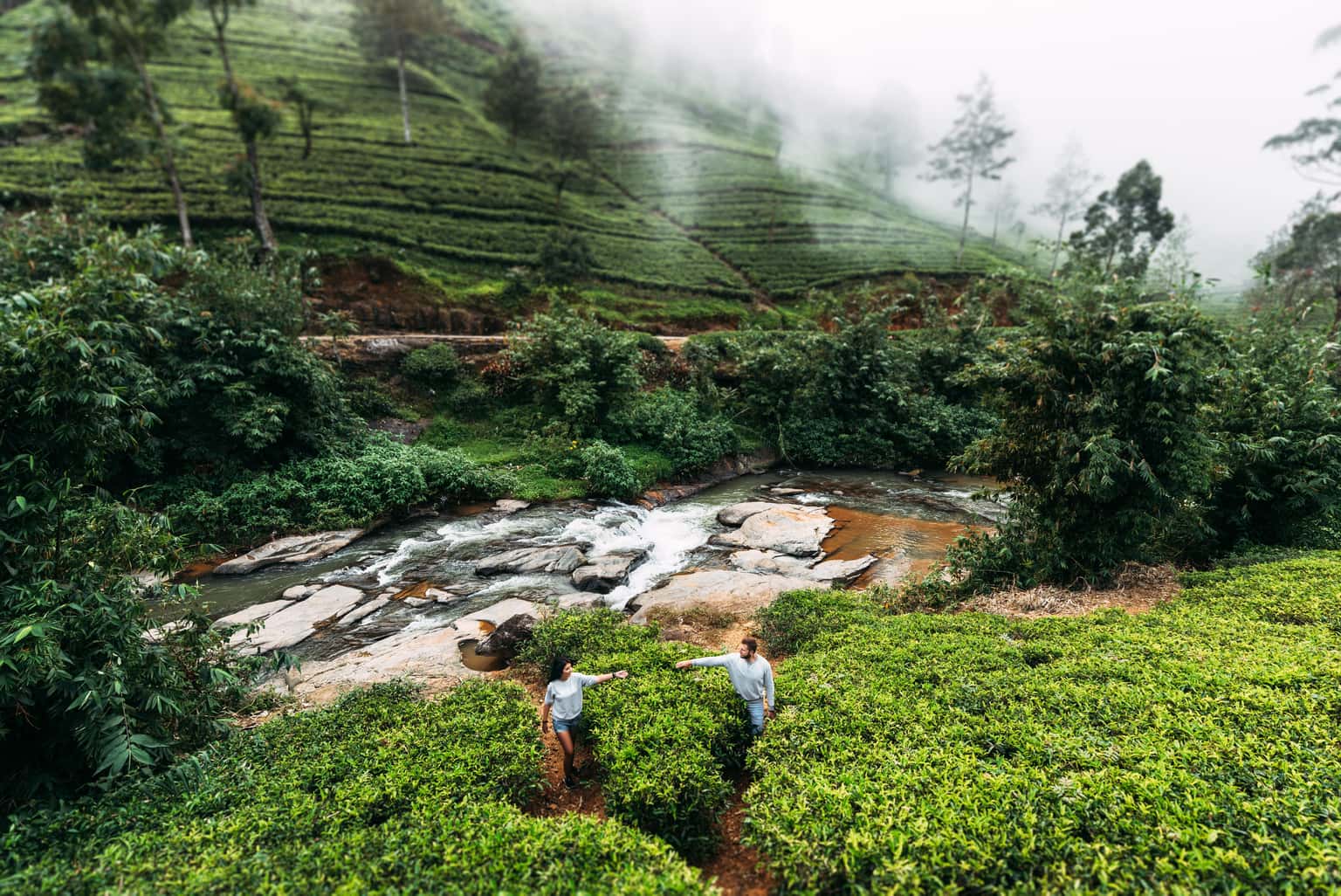 Kerala Honeymoon Package with Flight