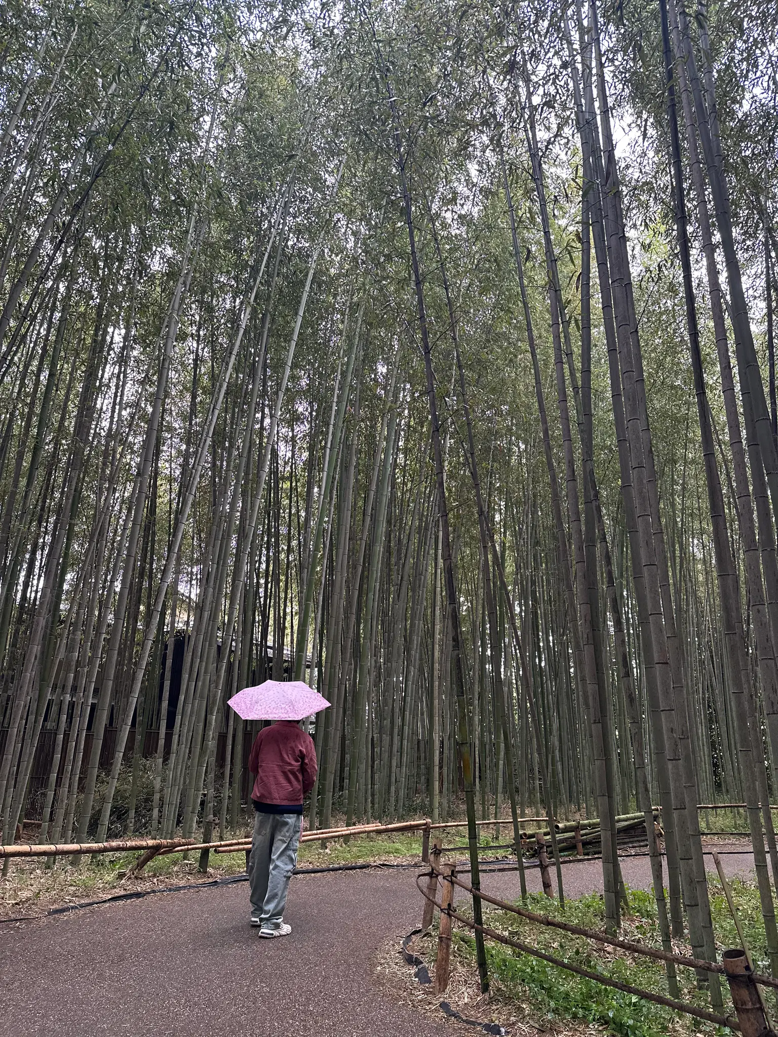 Photo from Sanyuti Desai's trip