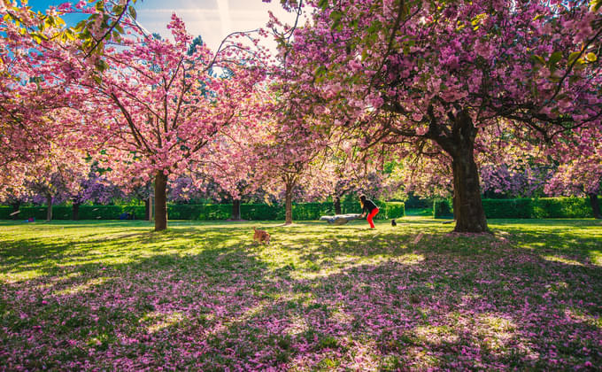 Weather in April