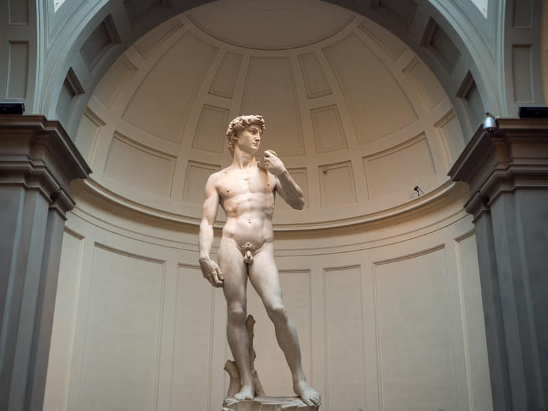 Facts of Michelangelo’s David