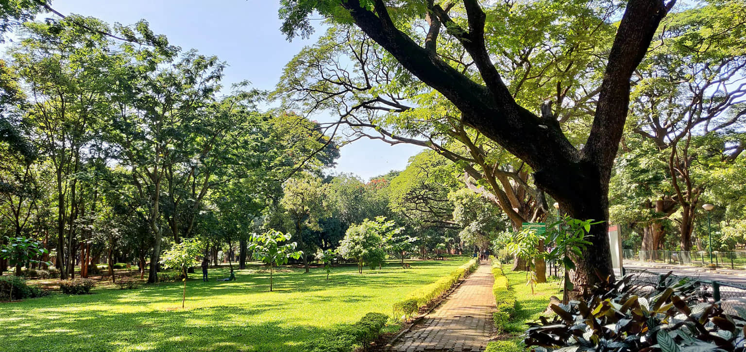 Cubbon Park, <em>Bangalore</em>