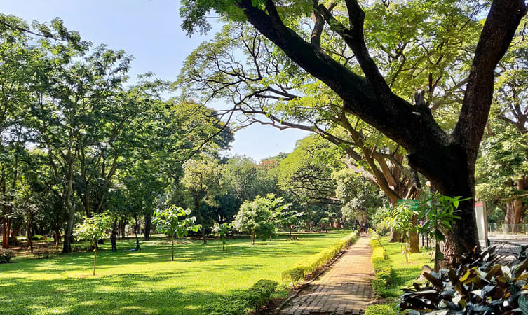 Cubbon Park