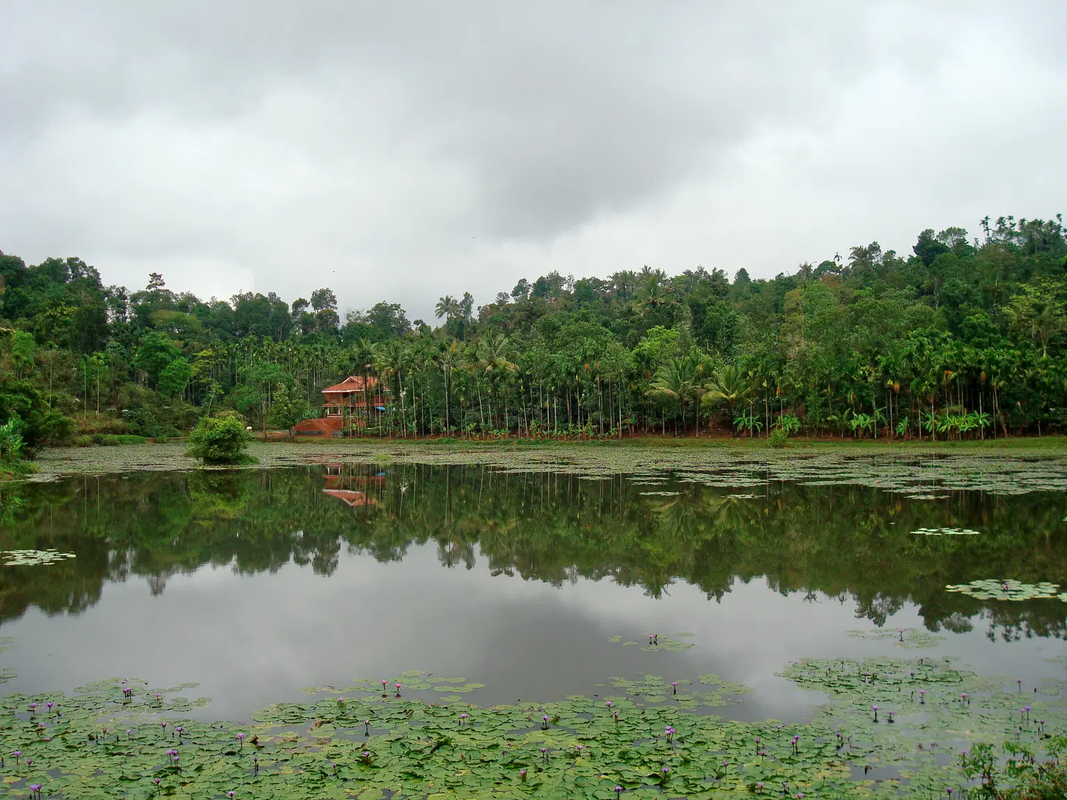 Photo from Priya Khan's trip