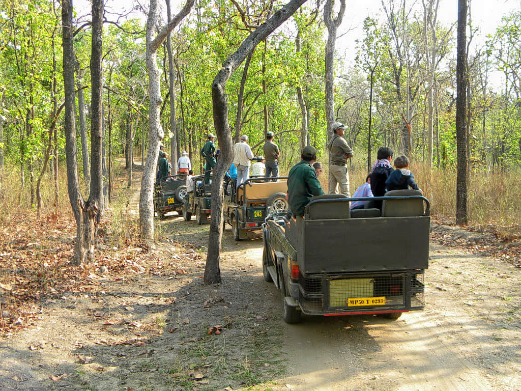 Dumna Nature Reserve Park, <em>Jabalpur</em>