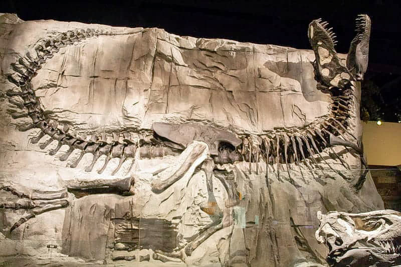 Western Canada Self Drive Tour Image