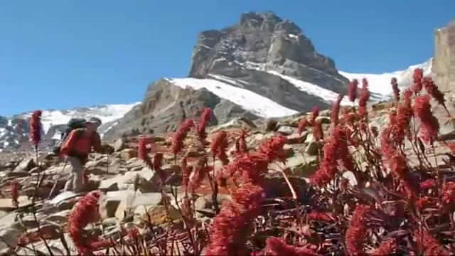 Photo from Daevika Somayaji's trip