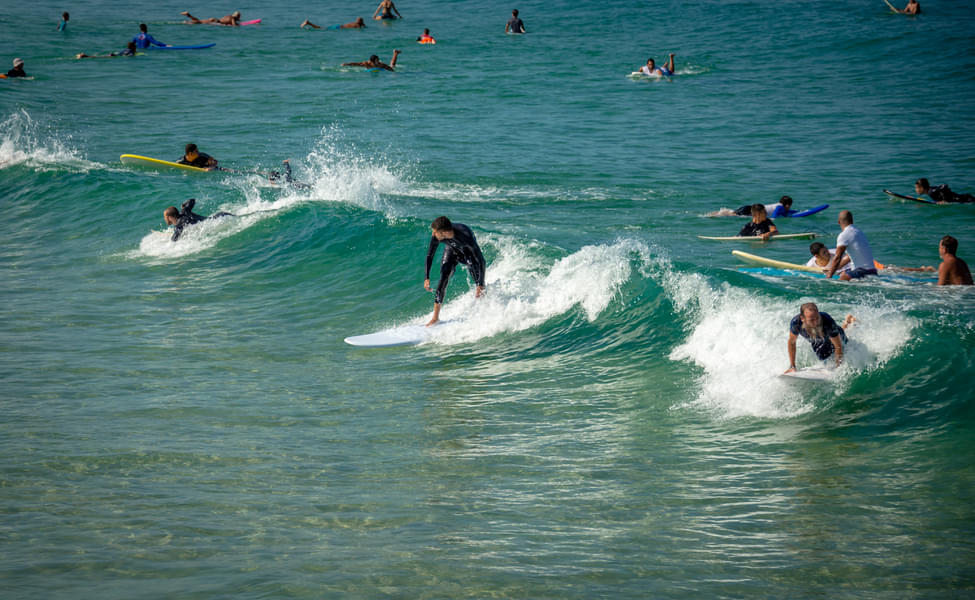 Surfing In Weligama Image