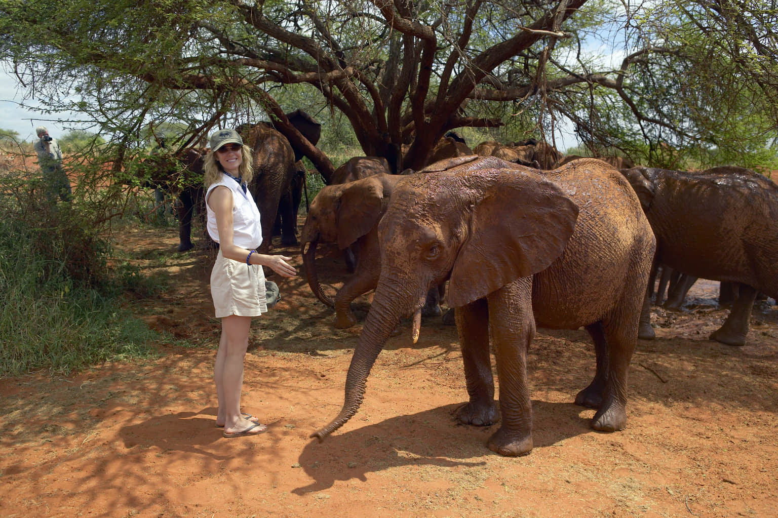 <em>Nairobi</em> Tour Packages From Chandigarh 