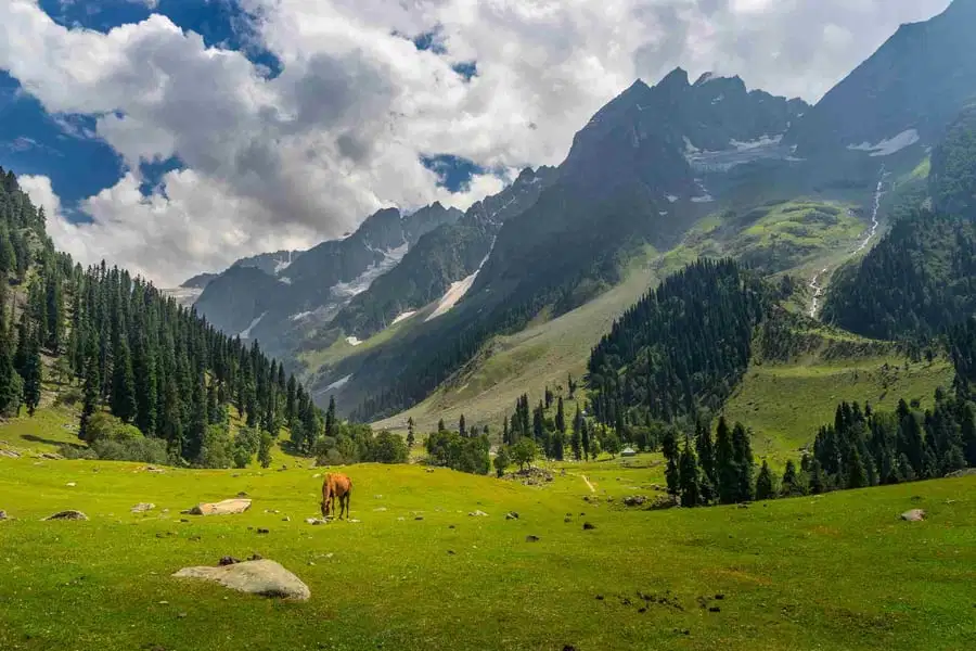 EXCLUSIVE Srinagar Delight with Vaishno Vista