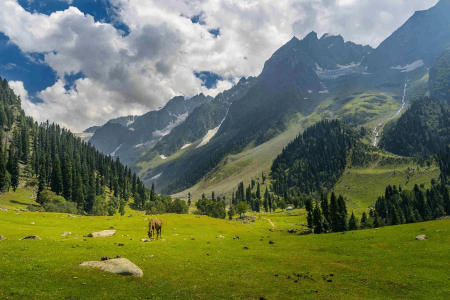EXCLUSIVE Srinagar Delight with Vaishno Vista