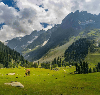 EXCLUSIVE Srinagar Delight with Vaishno Vista