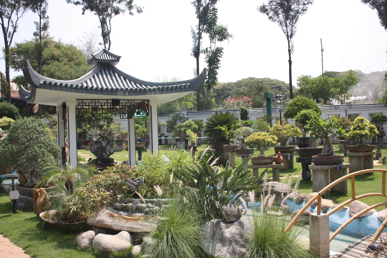 Kishkindha Moolika Bonsai Garden