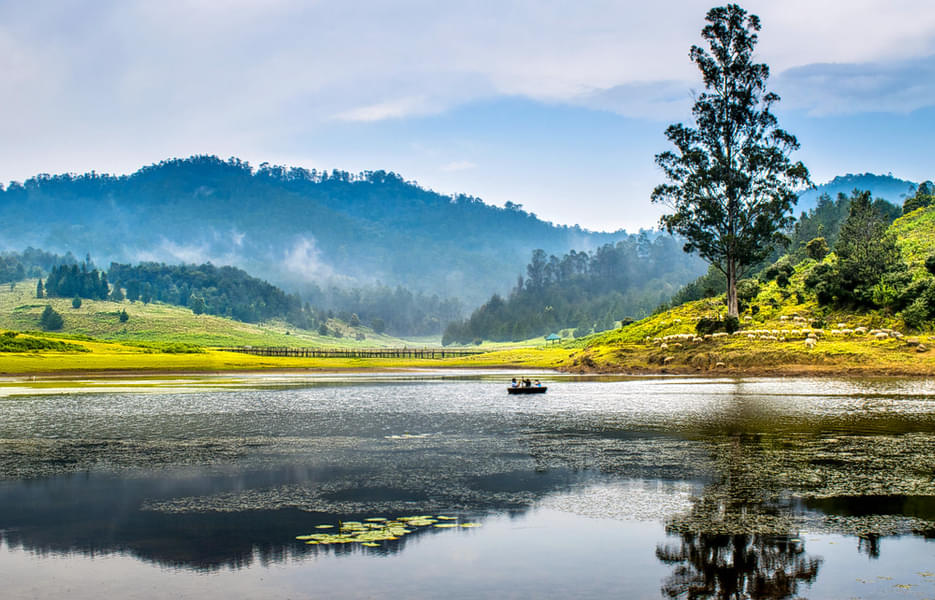 Bangalore to Ooty Tour Package Image
