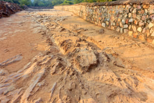 8ndnq6umxmrhmadbxgk2odsx64gg 1619612846 shutterstock 481643146