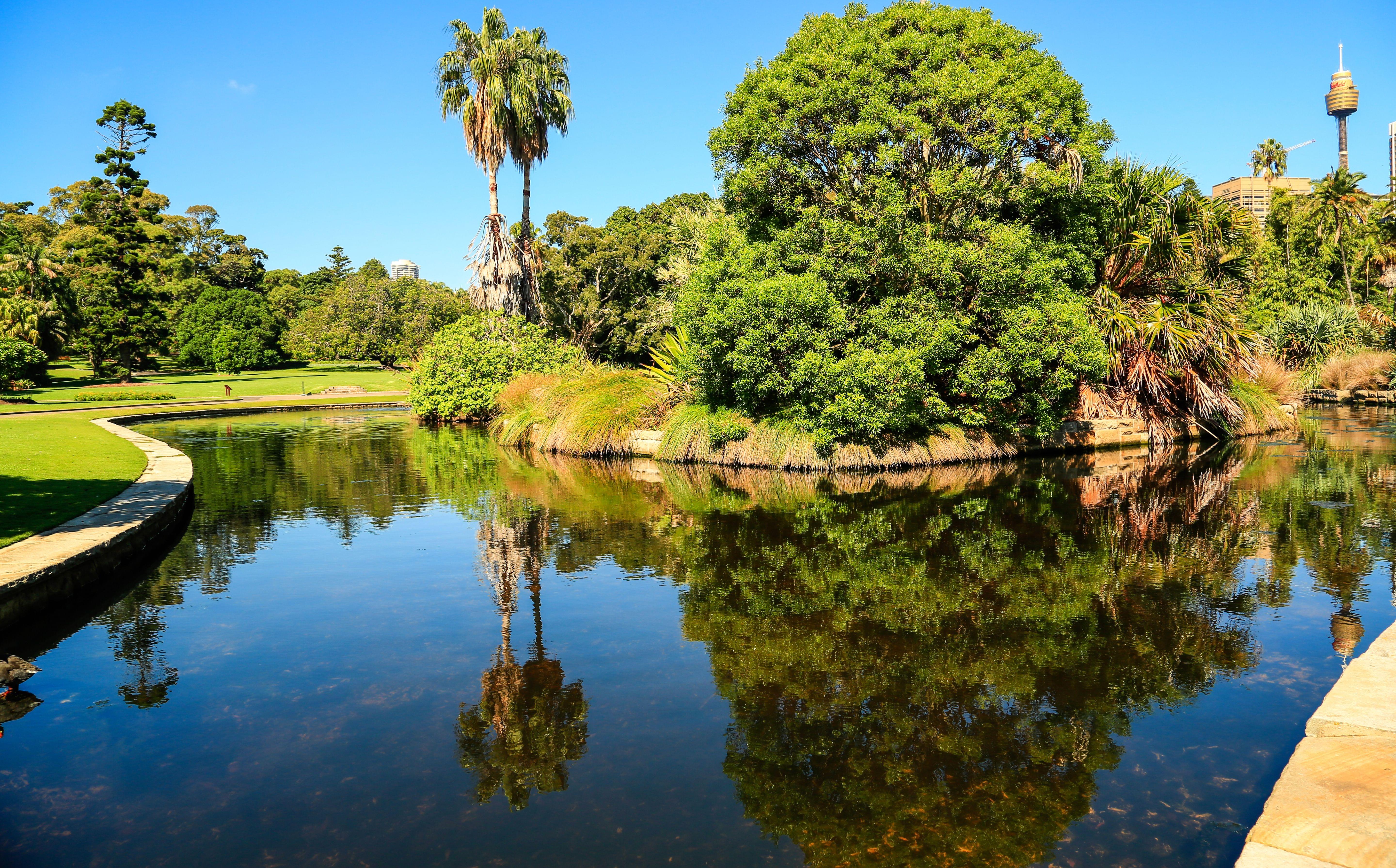 Botanic Garden Sydney