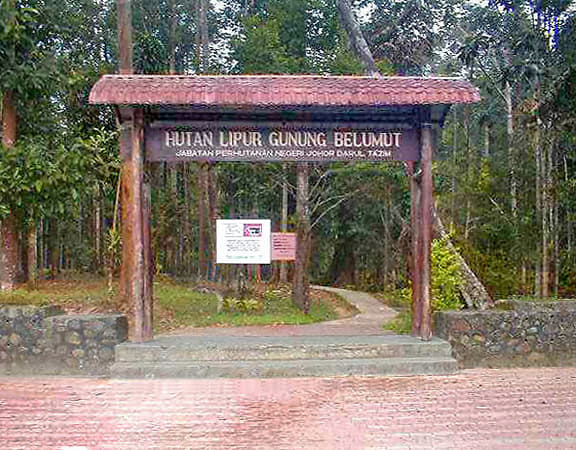 Gunung Belumut