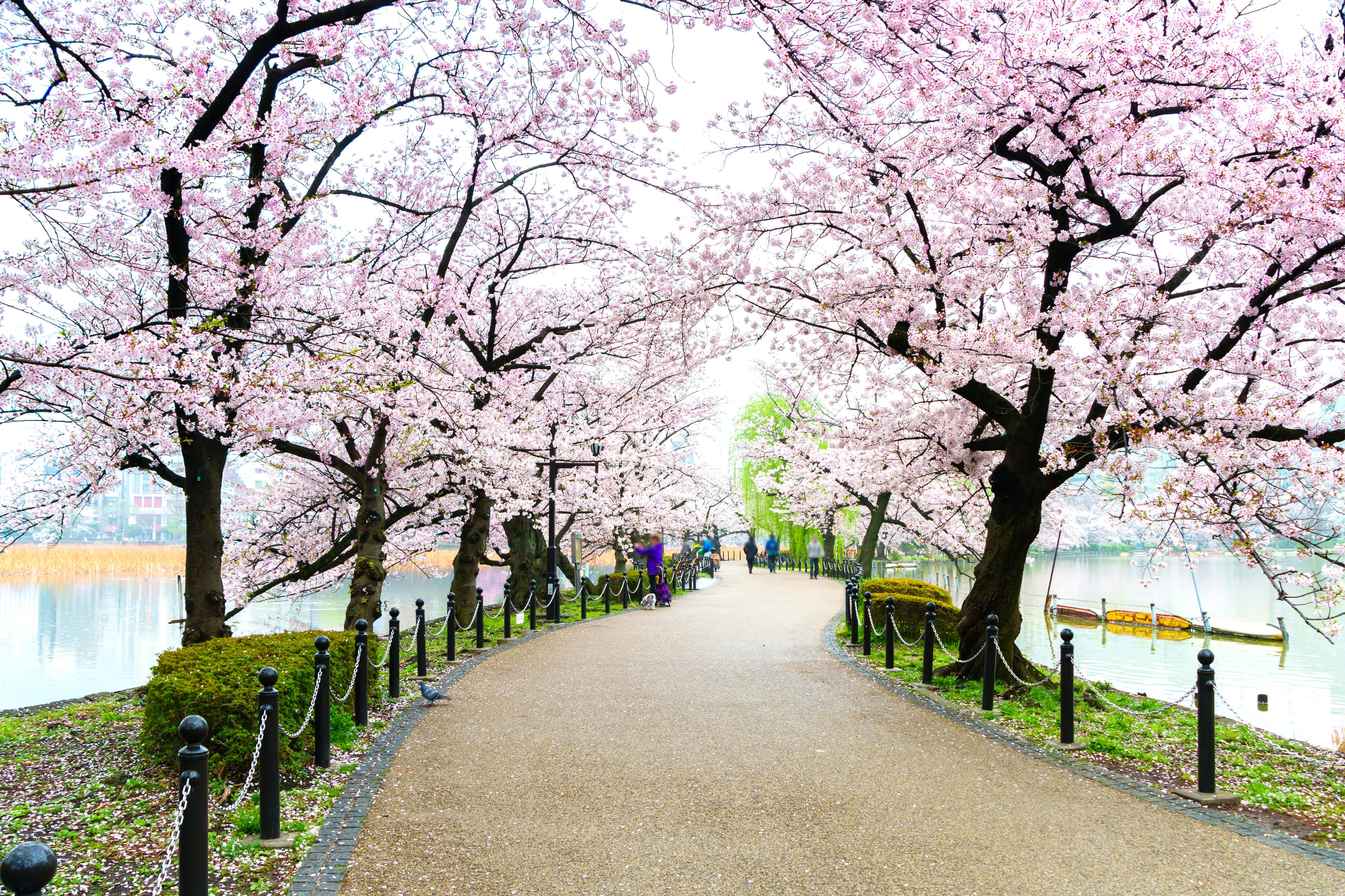 Ueno Park Overview