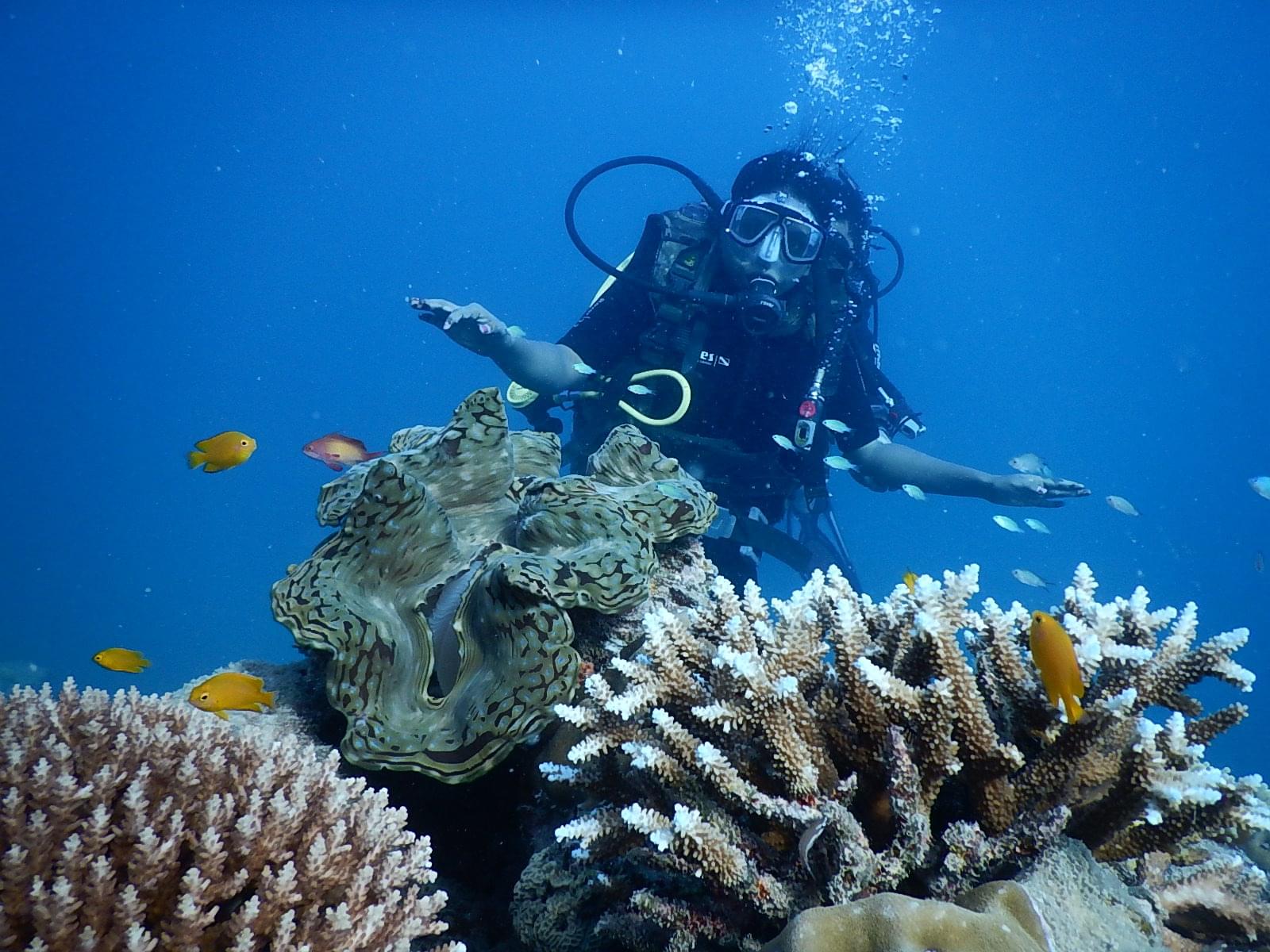 Scuba dive to get up close with the Marine Life