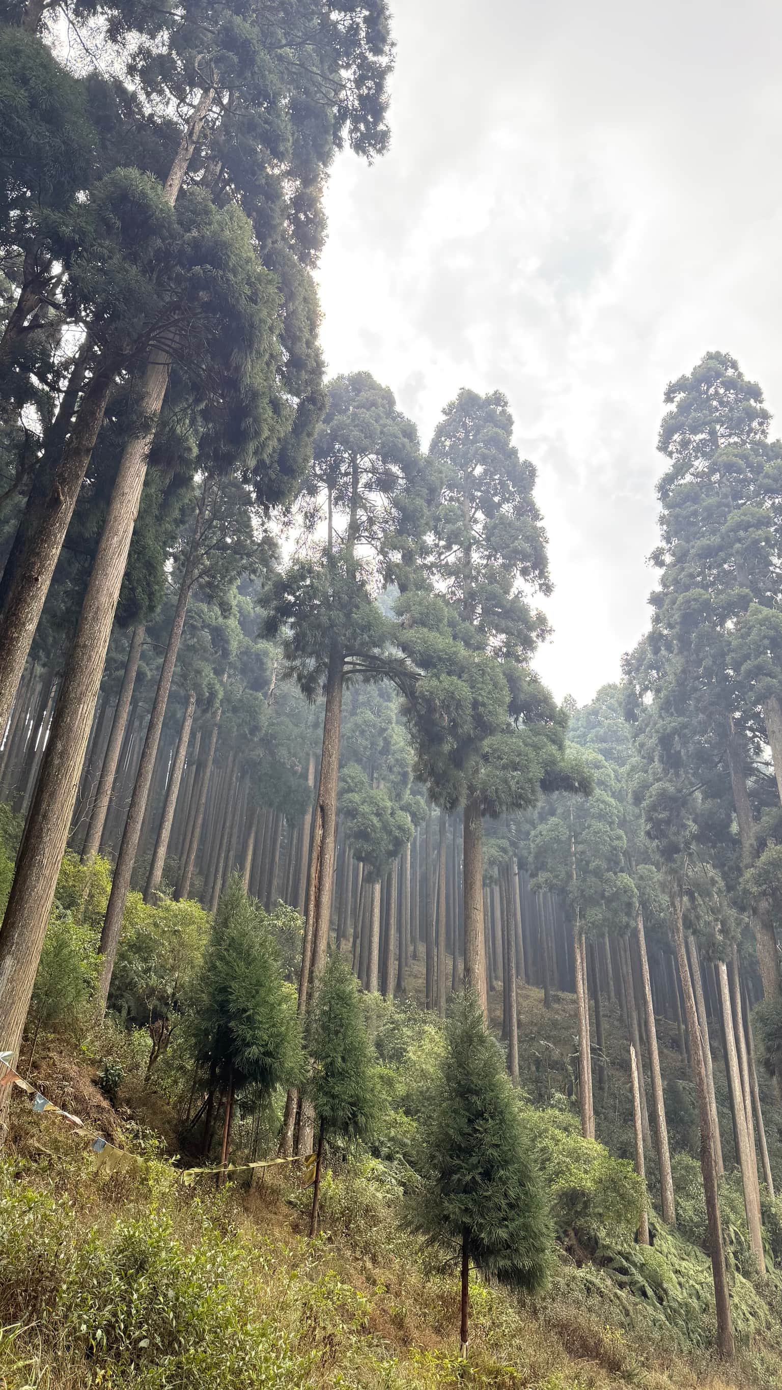 Photo from Sarang Sorte's trip