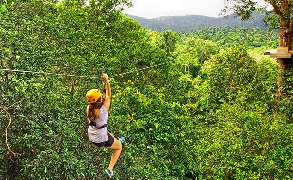 Flight Of The Gibbon, <em>Chiang Mai</em>