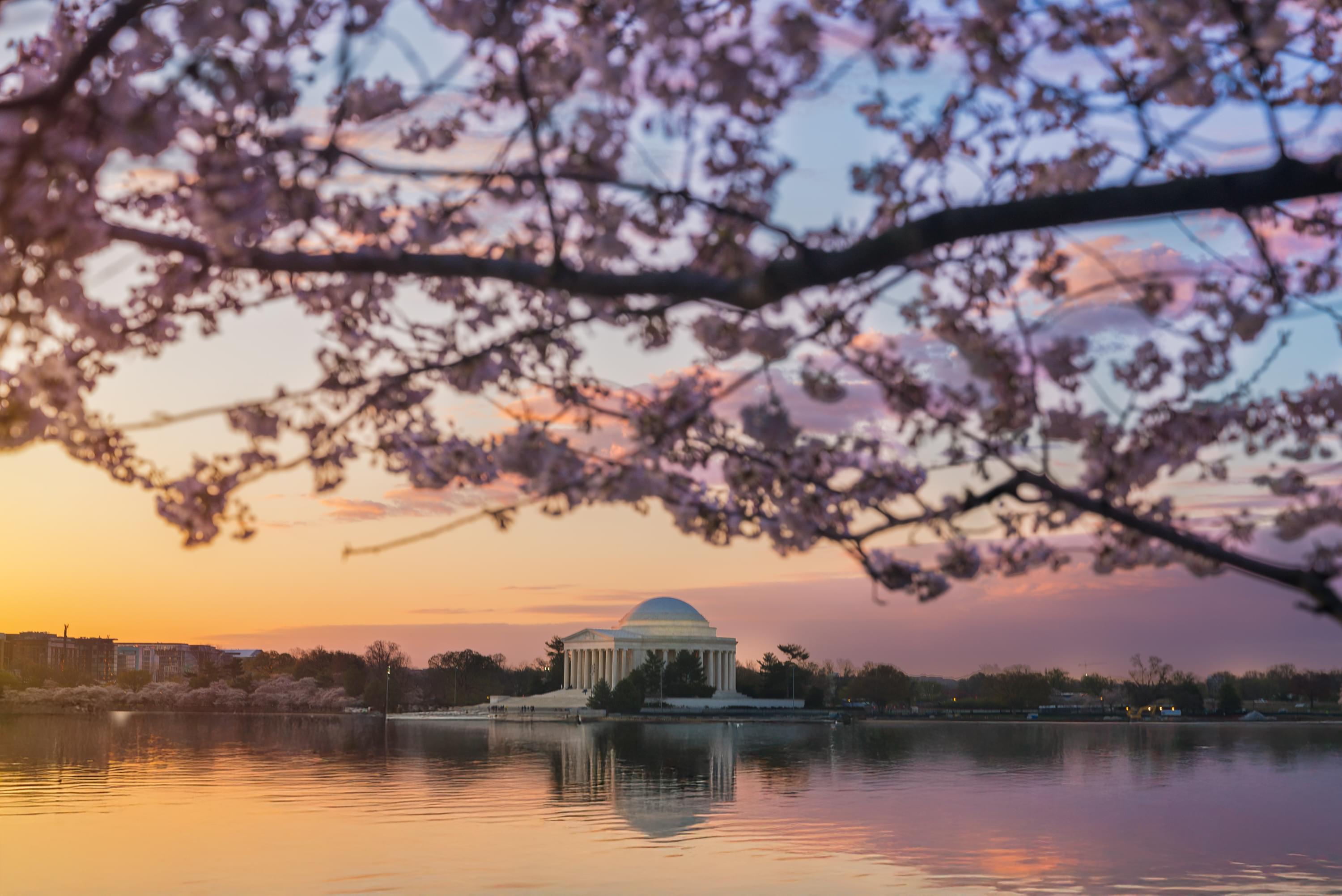 Washington D.C. Tour Packages | Upto 40% Off