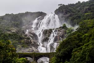 Hike through the forest to witness the graceful Dudhsagar Waterfalls on this tour to Goa