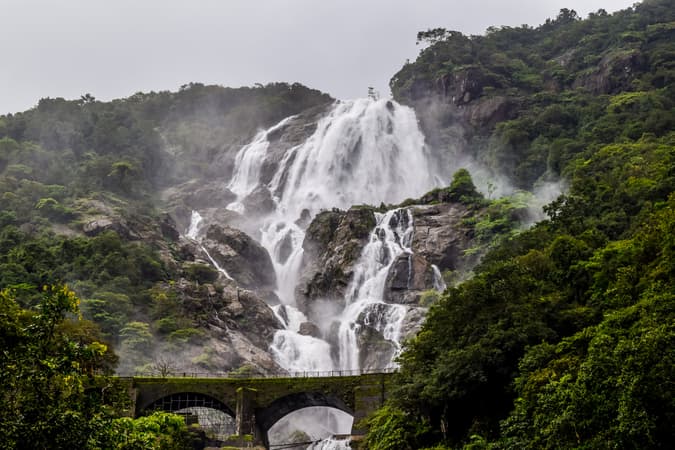 Hike through the forest to witness the graceful Dudhsagar Waterfalls on this tour to Goa