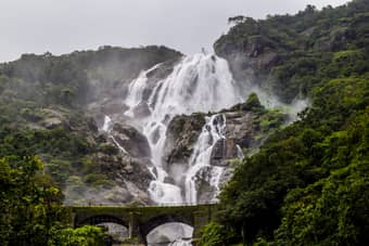 Hike through the forest to witness the graceful Dudhsagar Waterfalls on this tour to Goa
