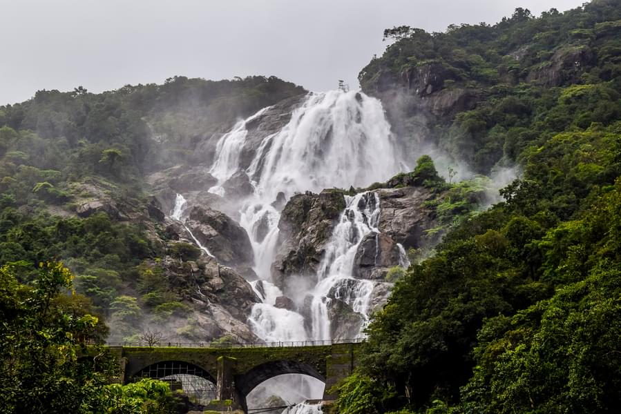 Glimpse of Goa With An Excursion to Dudhsagar Image