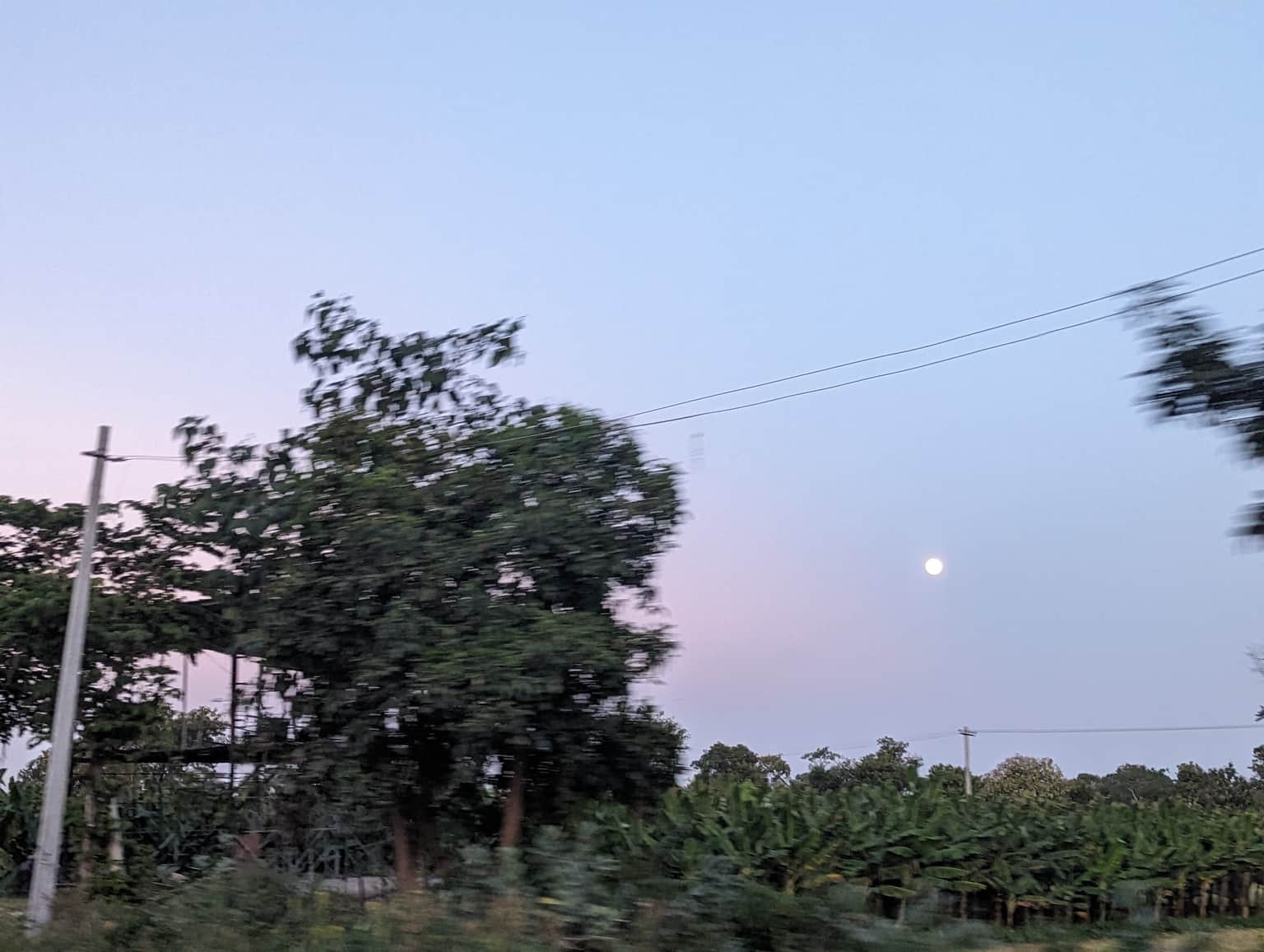 Photo from Amruta 's trip