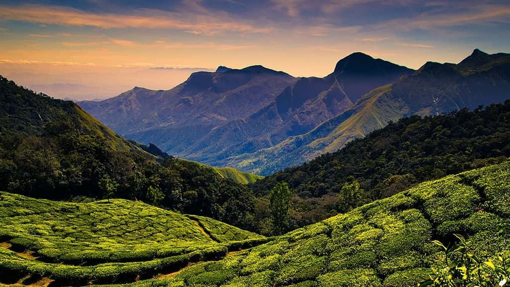 Wayanad Ooty Tour